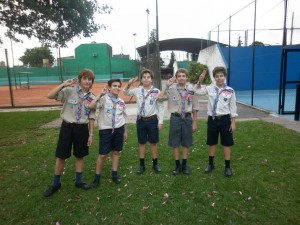 scout 2