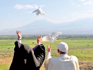 palomas-de-la-paz