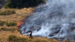 incendio-bosquea