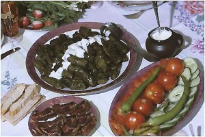 dolma-1