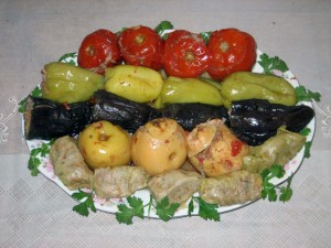 dolma-4