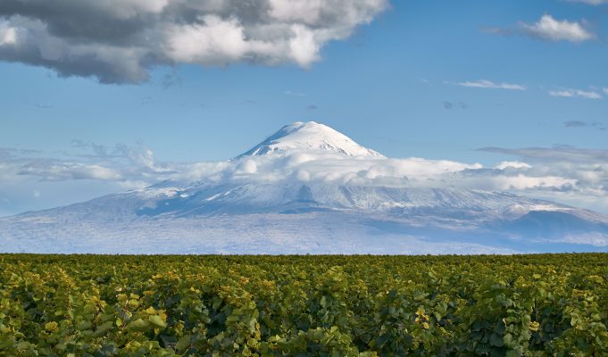 El vino creado de cara al Monte Ararat, en los valles de la provincia de Armavir.